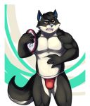  anthro barazoku big_(disambiguation) bulge clothing coffeecat hi_res jocks jockstrap kemono male muscular rugby solo underwear 