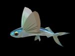  2019 4:3 ambiguous_gender black_background blue_body digital_media_(artwork) fin fish flying_fish grey_body hyeing02 marine simple_background solo 