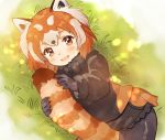  1girl animal_ears black_fur black_legwear black_neckwear black_shorts black_sweater blush bow bowtie brown_eyes commentary_request eyebrows_visible_through_hair fur_collar grass highres holding_tail kemono_friends lesser_panda_(kemono_friends) long_sleeves lying multicolored_hair on_side orange_hair panda_ears panda_girl panda_tail pantyhose short_hair short_shorts shorts solo suicchonsuisui sweater tail white_hair 