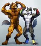  5_fingers anthro bandage canid canine canis claws digital_media_(artwork) duo eye_contact fingers flexing fur hair hi_res hyaenid kahito-slydeft looking_at_another male mammal muscular muscular_male nude pawpads paws simple_background smile spots spotted_hyena standing teeth wolf 