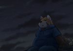  2020 ailurid anthro belly black_nose bodily_fluids clothing crying hoodie humanoid_hands kemono kota&acute; male mammal night outside overweight overweight_male red_panda sitting solo_focus tears topwear 