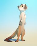  2019 absurd_res anthro brown_body brown_fur featureless_crotch fur gradient_background herpestid hi_res mammal meerkat nude pointedfox signature simple_background solo standing striped_body striped_fur stripes tan_body tan_fur 