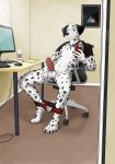  absurd_res alpha_(disambiguation) anthro balls canid canine canis clothing dalmatian domestic_dog english_text erection genitals hi_res male mammal office penis phone presenting sitting solo spots spread_legs spreading text torrofuz underwear underwear_down 