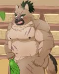  2020 4:5 anthro balls belly blush brown_body brown_fur bulge butt canid canine canis clothing cute_fangs domestic_dog fur genitals hi_res humanoid_hands kemono male mammal mohumohudansi moobs navel nipples overweight overweight_male penis scar solo tokyo_afterschool_summoners underwear video_games yasuyori 