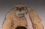  2020 anthro bodily_fluids brown_body brown_fur duo fur humanoid_hands kemono kota&acute; male mammal overweight overweight_male solo_focus sweat ursid 
