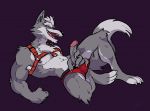  anthro armpit_hair body_hair canid canine canis clothing erection fur genitals grey_body grey_fur humanoid_genitalia humanoid_penis male mammal muscular muscular_male nintendo penis solo star_fox thong timbits underwear video_games wolf wolf_o&#039;donnell 