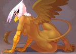  2020 anthro areola avian beak breasts chrysalisdraws digital_media_(artwork) feathered_wings feathers female friendship_is_magic genitals gilda_(mlp) gryphon looking_at_viewer looking_back my_little_pony mythological_avian mythology nipples nude patreon pussy solo text url wings yellow_beak yellow_eyes 