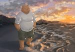  2020 7gaku_7 anthro beach bottomwear brown_body brown_fur clothing detailed_background eyes_closed footwear fur hi_res kemono male mammal outside overweight overweight_male sandals seaside shirt shorts solo topwear ursid water 