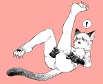  ! 2018 4_toes 5_fingers anthro bodily_fluids breasts clothing dressing ear_piercing ear_ring felid feline female fingers hair hi_res kemono mammal medium_breasts open_mouth piercing pink_background pororikin shirt simple_background snout solo surprise sweat toes tongue topwear whiskers 
