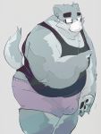  2020 3:4 anthro belly bulge canid canine clothing dumdum eyewear face_mask glasses hi_res kemono male mammal overweight overweight_male shirt simple_background solo topwear underwear 