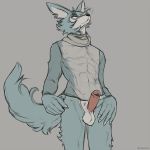  1:1 abs anthro balls beastars bottomless canid canine canis clothed clothing fluffy fluffy_tail genitals humanoid_genitalia humanoid_penis lawyerdog legoshi_(beastars) male mammal penis solo topwear wolf 