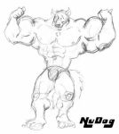  2002 abs anthro black_and_white canid canine canis clothing domestic_dog flexing gesture low_res male mammal monochrome mostly_nude muscular muscular_male nudog pecs pose sketch solo speedo swimwear thumbs_up 