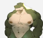  abs anthro barazoku biceps biped dinosaur green_body green_skin half-length_portrait looking_aside male multicolored_body muscular muscular_male navel nipples nude pecs portrait reptile scalie simple_background solo sozoronabi standing two_tone_body white_body white_skin 
