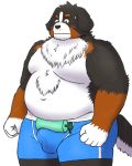  2020 4:5 anthro balls_outline belly black_body black_fur blush bodily_fluids brown_body brown_fur bulge canid canine canis clothing domestic_dog fur genital_outline hi_res kemono male mammal moobs overweight overweight_male penis_outline simple_background solo sweat underwear white_background white_body white_fur yaki_atsuage 