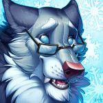  1:1 blue_sclera canid canine canis digital_media_(artwork) eyewear fur glasses grey_body grey_fur kahito-slydeft male mammal open_mouth pink_nose simple_background smile snowflake solo teeth tongue white_body white_eyes white_fur wolf 