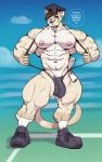  abs anthro big_bulge bulge clothing degree dialogue domestic_cat felid feline felis footwear graduation_cap hair hair_over_eye hi_res looking_at_viewer male mammal muscular muscular_male navel one_eye_obstructed shoes sneakers solo speedo suspenders swimwear sxfpantera thick_thighs 