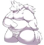  2020 anthro balls belly canid canine flaccid genitals hi_res humanoid_genitalia humanoid_hands humanoid_penis kemono male mammal moobs navel nipples overweight overweight_male penis simple_background small_penis solo suishou0602 white_background 
