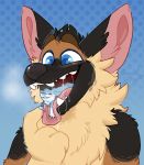  2020 blue_eyes blush bodily_fluids canid canine crownedvictory drooling german_shephard hi_res male male/male male_pred male_prey mammal micro saliva sergal simple_background size_difference stippling tongue tongue_out vore 