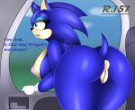  anthro anus bent_over big_breasts big_butt breasts butt crossgender dialogue ear_piercing ear_ring english_text eulipotyphlan female genitals hedgehog hi_res huge_breasts huge_butt mammal nipples piercing pussy rear_view renegade-157 solo sonic_the_hedgehog sonic_the_hedgehog_(series) text window 
