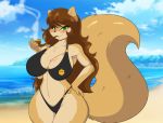  anthro beach bikini brown_hair clothing cloud female green_eyes hair hand_on_hip long_hair long_tail looking_at_viewer mammal mastergodai rodent sand sciurid sea seaside sky smile smoke solo swimwear tobacco_pipe water 