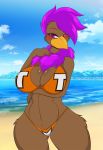  anthro arm_under_breasts avian beach beak bikini bird blush breasts brown_body brown_fur clothing cloud female fur hair hand_on_chest mastergodai non-mammal_breasts purple_eyes purple_hair sand sea seaside sky smile solo swimwear water 