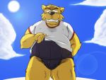  2011 4:3 anthro belly black_nose brown_body brown_fur bulge canid canine canis clothing domestic_dog fur humanoid_hands kemono male mammal oogamikennta outside overweight overweight_male shirt solo sun topwear 