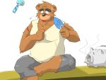  2005 4:3 anthro bottomwear brown_body brown_fur clothing fur kemono male mammal oogamikennta overweight overweight_male shirt shorts sitting solo tongue tongue_out topwear ursid 
