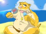  2006 4:3 anthro beach belly felid food kemono male mammal moobs navel nipples oogamikennta outside overweight overweight_male pantherine pink_nose popsicle seaside sitting solo tiger water 