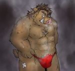  2010 anthro asian_clothing barazoku bodily_fluids brown_body brown_fur bulge clothing east_asian_clothing erection erection_under_clothing fundoshi fur humanoid_hands japanese_clothing kemono low_res male mammal mikesiva muscular nipples solo suid suina sus_(pig) sweat underwear wild_boar 