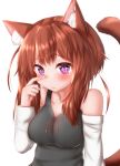  2020 animal_humanoid blush breasts brown_hair cat_humanoid clothing cute_fangs ear_piercing ear_ring felid felid_humanoid feline feline_humanoid female freckles hair half-length_portrait hi_res horokusa0519 humanoid inner_ear_fluff looking_at_viewer mammal mammal_humanoid piercing portrait purple_eyes sad shirt simple_background solo tank_top topwear tuft white_background 