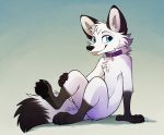  2020 4_fingers 4_toes anthro aseethe black_nose blue_eyes canid canine claws collar digital_media_(artwork) feet fingers fox hair male mammal pawpads sitting solo toe_claws toes white_hair 