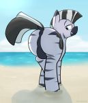  anus balls beach equid equine fan_character feral friendship_is_magic genitals hi_res male mammal my_little_pony nude outside presenting raised_tail sand sea seaside sky smile solo triplesevens_(artist) water zebra 
