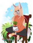  anthro avablanched canid canine chair clothing eyebrows eyelashes female fox fur furniture green_eyes grey_body grey_fur hair mallow_(reddest) mammal orange_clothing orange_hair orange_sweater orange_topwear pawpads plant red_fox silver_fox solo solo_focus sweater topwear two_tone_tail 