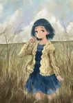  1girl absurdres adjusting_hair aran_sweater bangs blue_dress blue_eyes blue_hair blunt_bangs bob_cut cable_knit cardigan cloud cloudy_sky commentary cowboy_shot dress field hair_strand highres huge_filesize idolmaster idolmaster_cinderella_girls k6tetsu light_smile looking_at_viewer okazaki_yasuha overcast raised_eyebrows short_hair sky solo sweater tall_grass tan_sweater wind 