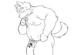  2015 4:3 anthro balls belly canid canine canis censored domestic_dog genitals humanoid_genitalia humanoid_hands humanoid_penis kemono male mammal moobs navel nipples oogamikennta overweight overweight_male penis simple_background solo white_background 