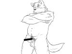  2016 4:3 anthro balls belly blush canid canine canis censored erection genitals humanoid_genitalia humanoid_hands humanoid_penis kemono male mammal monochrome oogamikennta penis simple_background slightly_chubby solo white_background wolf 