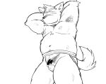  2017 5:4 anthro balls belly blush canid canine canis censored clothing domestic_dog genitals jockstrap kemono male mammal monochrome moobs navel nipples oogamikennta penis simple_background slightly_chubby solo underwear white_background 