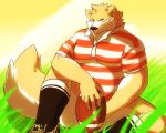  2013 5:4 anthro belly canid canine canis clothing convenient_censorship domestic_dog kemono kumamikan male mammal outside overweight overweight_male rugby rugby_ball shirt sitting solo topwear 