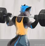  absurd_res alibi-cami anthro barbell black_ears blue_hair bodily_fluids bottomwear canid canine canis clothed clothing exercise fox fur gloves_(marking) grey_body grey_fur gym_clothing gym_equipment hair hi_res hybrid looking_away male mammal markings muscle_shirt nimbus shirt shorts solo standing sweat sweatdrop tank_top topwear weightlifting weights wolf workout 