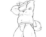  2017 5:4 anthro belly blush bulge canid canine canis clothing domestic_dog jockstrap kemono male mammal monochrome moobs navel nipples oogamikennta simple_background slightly_chubby solo underwear white_background 