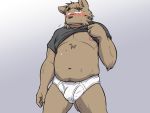  2016 4:3 anthro belly blush brown_body brown_fur bulge canid canine canis clothed clothing domestic_dog fur humanoid_hands kemono male mammal moobs navel nipples oogamikennta open_shirt overweight overweight_male shirt simple_background solo topwear underwear 