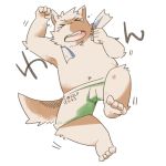  1:1 2020 anthro blush canid canine clothing eyes_closed green_bell hi_res humanoid_hands inakamichi japanese_text kemono male mammal simple_background slightly_chubby solo text towel underwear white_background 