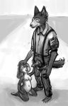  animal_genitalia animal_penis anthro anthro_on_anthro balls beastars bottomwear canid canine canine_penis canis clothed clothed/nude clothed_male_nude_female clothing crossover disney duo female genitals greyscale hand_on_head hi_res interspecies judy_hopps kneeling lagomorph larger_male legoshi_(beastars) leporid male male/female mammal monochrome navel nude obrien_(artist) pants penis penis_grab poking_out predator/prey pussy rabbit shirt size_difference smaller_female standing suspenders tongue tongue_out topwear wolf zootopia 