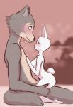  anthro anthro_on_anthro barely_visible_genitalia barely_visible_penis beastars bodily_fluids breasts canid canine canis domestic_rabbit duo dwarf_rabbit female fur genitals grey_body grey_fur haru_(beastars) hi_res interspecies lagomorph larger_male legoshi_(beastars) leporid male male/female mammal nervous nude on_lap oryctolagus peachkuns penis predator/prey rabbit romantic_ambiance romantic_couple sitting_on_lap size_difference smaller_female straddling sweat white_body white_fur wolf 