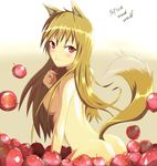  animal_ears apple artist_request ass breasts food fruit holo long_hair nude solo spice_and_wolf tail wolf_ears 