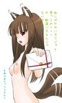  animal_ears breasts gift holding holding_gift holo incoming_gift long_hair nipples nude small_breasts solo spice_and_wolf tail tail_wagging translated tsundere valentine wolf_ears 