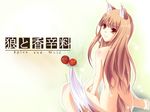  animal_ears apple bad_id bad_pixiv_id brown_eyes brown_hair food fruit holo kazumi1904 long_hair looking_back nude solo spice_and_wolf tail wallpaper wolf_ears 