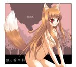  akino_sora animal_ears brown_hair fang holo long_hair nude red_eyes solo spice_and_wolf tail wolf_ears 