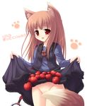  animal_ears apple brown_hair dress fang food fruit holo long_hair no_panties red_eyes skirt skirt_basket skirt_lift solo spice_and_wolf tail wolf_ears yokuran 