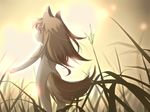  animal_ears cute female horo nude solo spice_and_wolf unknown_artist wolf_ears young 